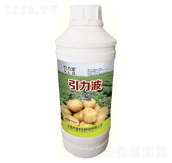 �������������Ƅ�-������-���r����