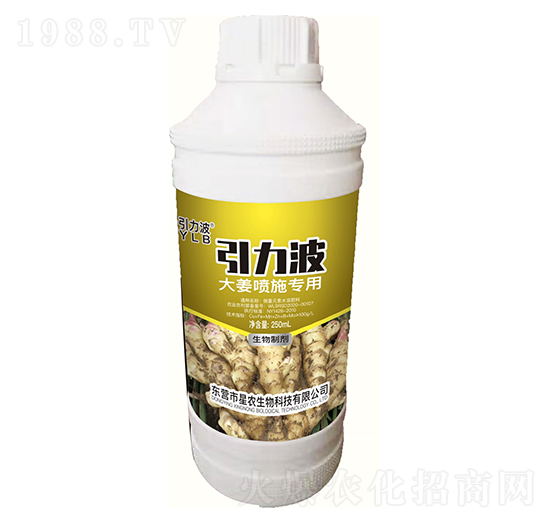 �󽪇�ʩ���������Ƅ�-������-���r����