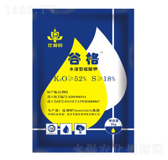 �����r�M�������-�ȸ�-�����r(n��ng)�I(y��)