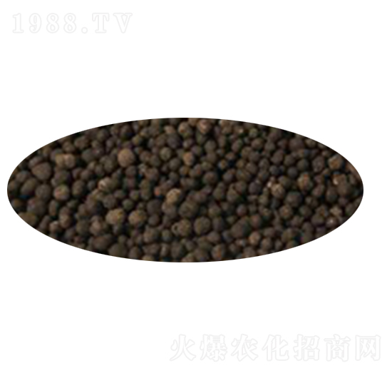 �w���ЙC��-���N����