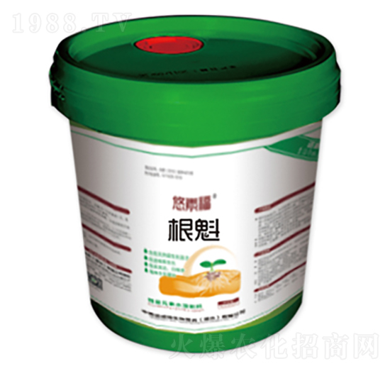 ����-���ظ�-�����Z����