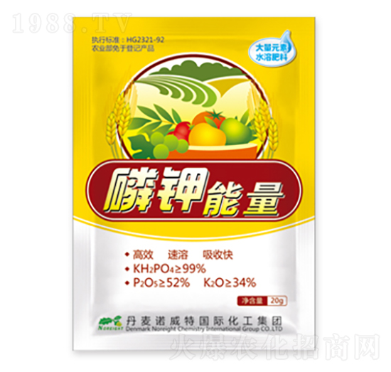 �������-�����Z����