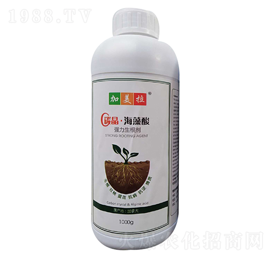 ̼����������-������