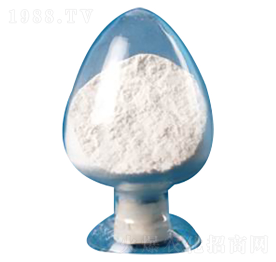 6-�S����������-�R���r��