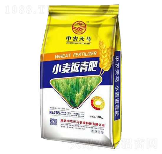 小麥返青肥-中農天馬