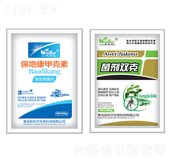 ���ؿ��ך���+�����p��-�P����