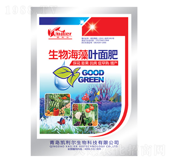 ���ﺣ���~���-�P����