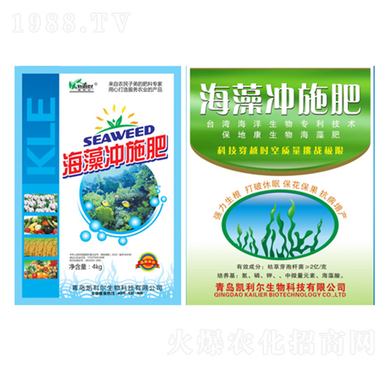 ����_ʩ��-�P����