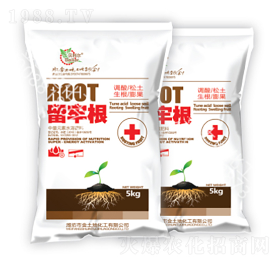 ���θ�-������