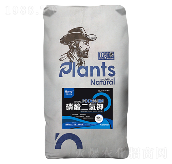 ��������-��Ƚ���Q