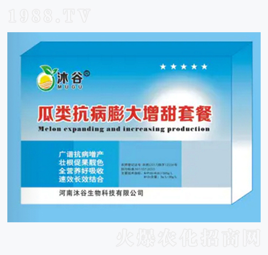 �������������ײ�-�������