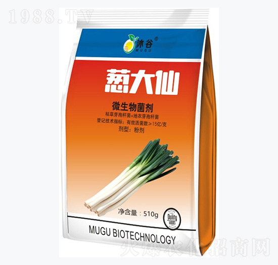 ΢�������-�[����-�������