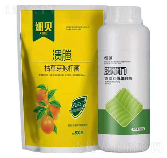 枯草芽孢桿菌+沼澤紅假單胞菌-潰騰+潰掌門細(xì)貝-豆本豆