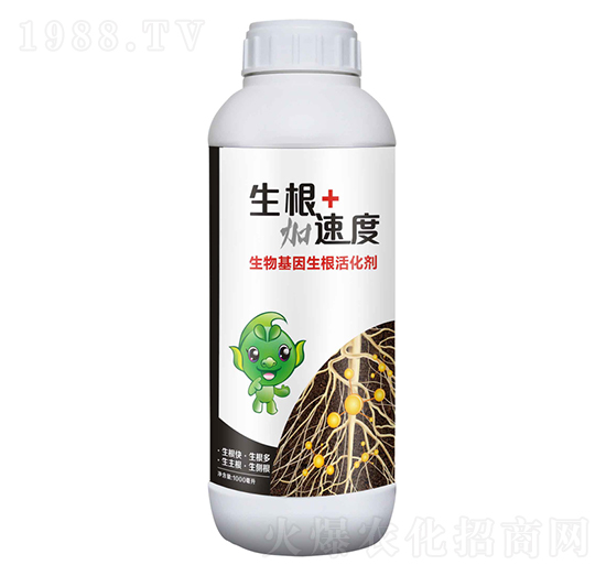 生物基因生根活化劑-生根加速度-豆本豆