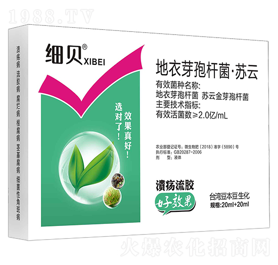 地衣芽孢桿菌·蘇云-細貝-豆本豆