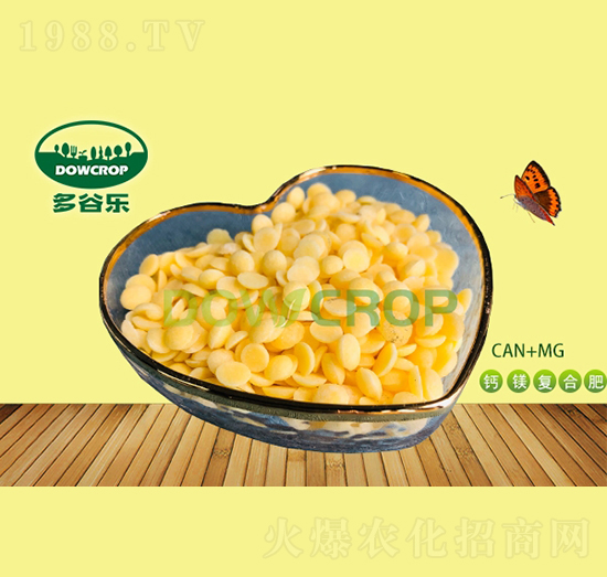 �SɫƬ���}�V��(f��)�Ϸ�-��Ș�(l��)