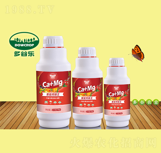 �����}�V��-��Ș�