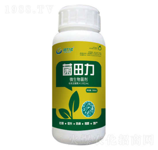 ΢�������-������-������