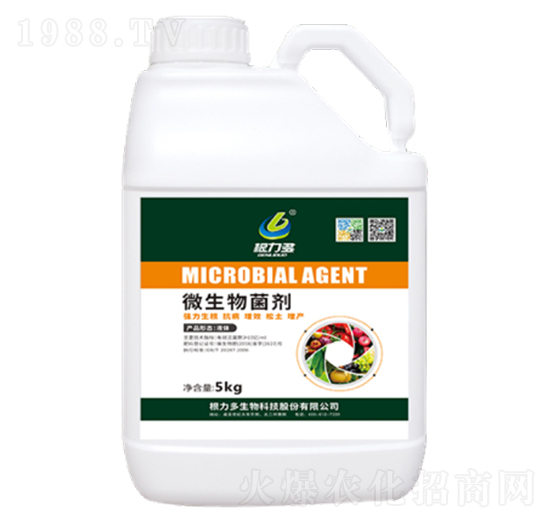 5kg΢�������-������