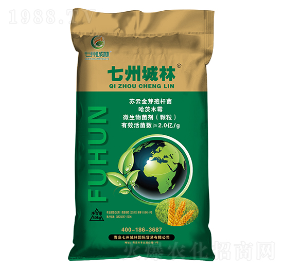 ��ʮ��С���������طN��-���ݳ���