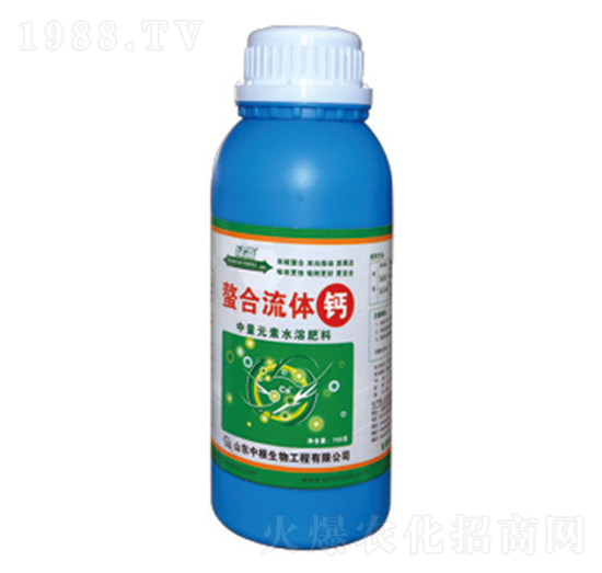 �������w�}-�и�����