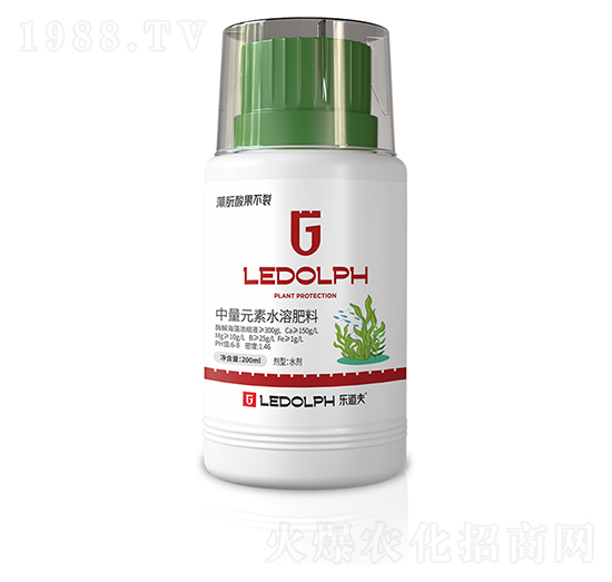 �����������-������