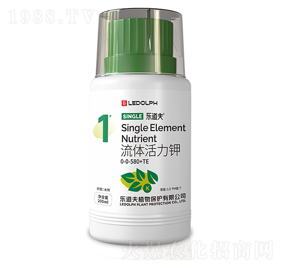 ���w�����}-������