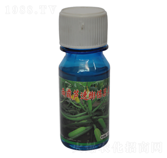 ƿ�b�����J�����`-�r(n��ng)����