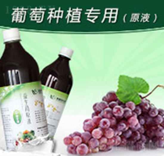 如金葡萄種植專用益生菌原液-綠洲生物
