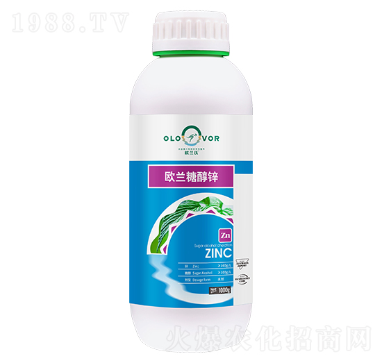 �W�m�Ǵ���-�W�m��