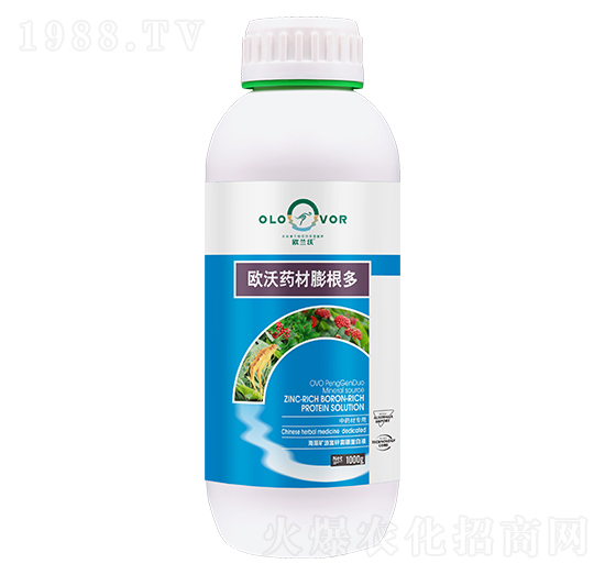 �W��ˎ�������-�W�m��