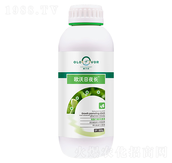 �W����ҹ�L(zh��ng)-�W�m��