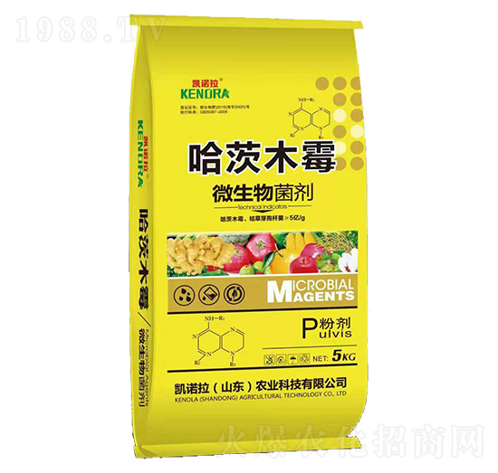 ΢�������-����ľù��-�P�Z��