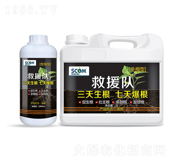 ��Ԯꠣ������ͣ�-˹��ķ