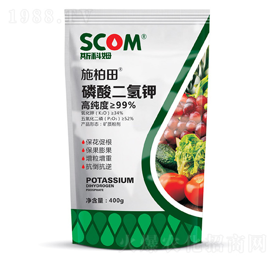 ��������-ʩ����-˹��ķ