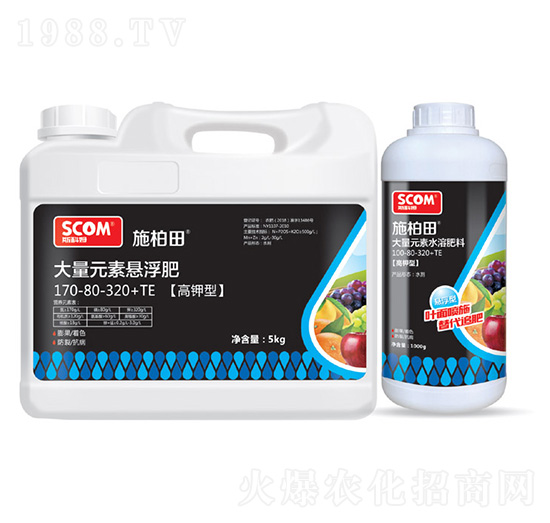 ����ʹ���Ԫ�ؑҸ���170-80-320+TE-ʩ����-˹��ķ