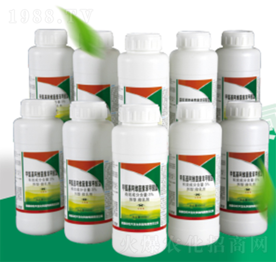 3.4%�װ������S���ر������}΢�鄩-���r(n��ng)����