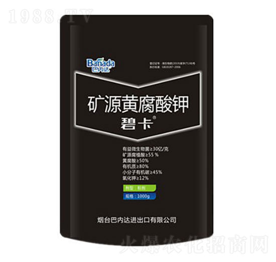 �VԴ�S�����-�̿�-�̓�(n��i)�_