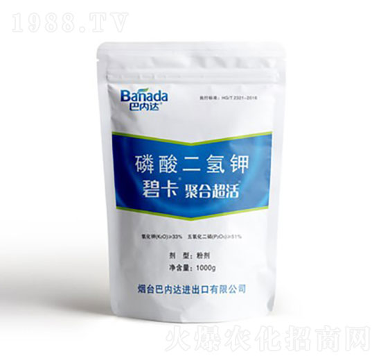 ��������-�̿�-�̓�(n��i)�_(d��)