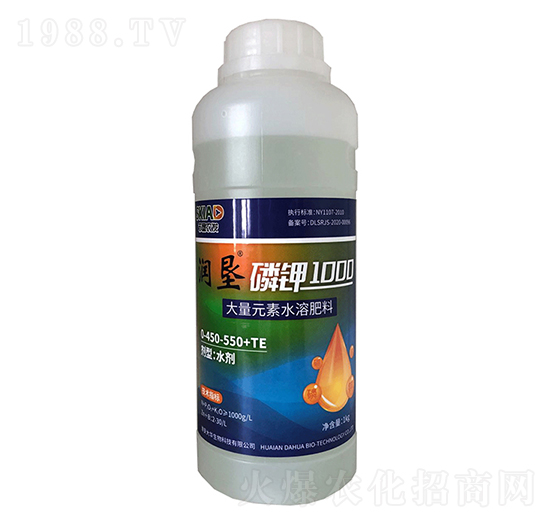 ���1000-����-���A����