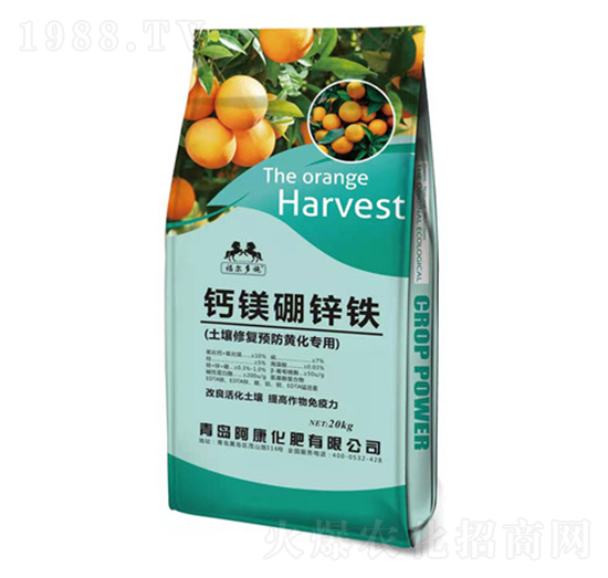 �����ޏ�(f��)�A(y��)���S������-�}�V���\�F-��������