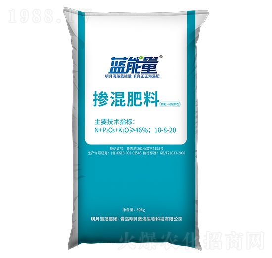 �w����������͓������18-8-20-�{����