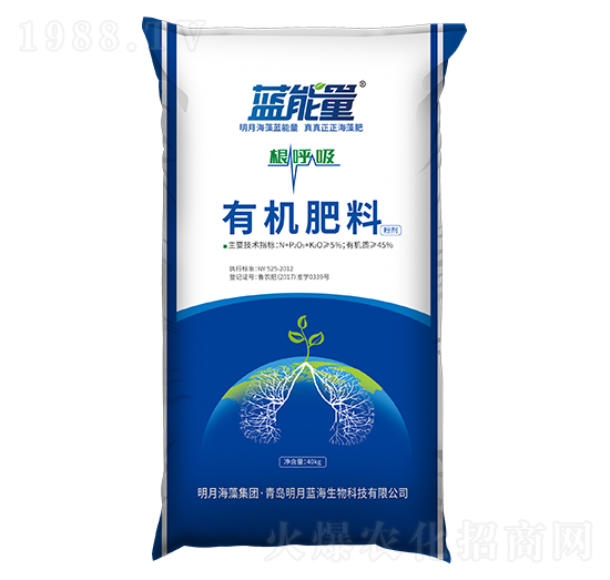 �ЙC����-������-�{(l��n)����