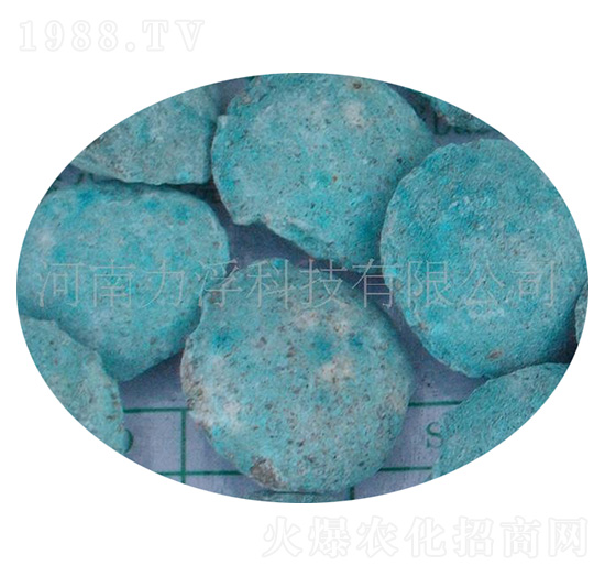 �ؙ������ؘ��-�����Ƽ�