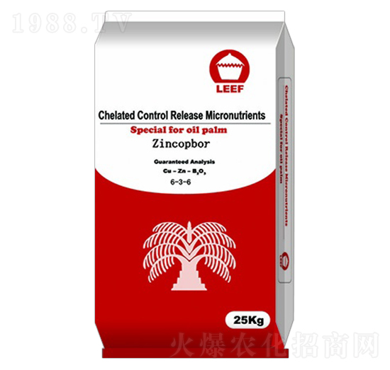 �~�\��6-3-6-�Ŷ�-�����Ƽ�