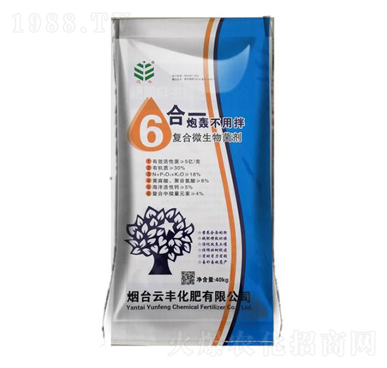 6Ч��һ�ͺ�΢�������-���S����