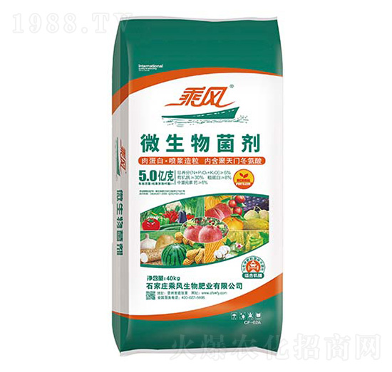 5�|��΢�������-���L����