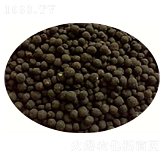 ��S�ЙC���w��-��������