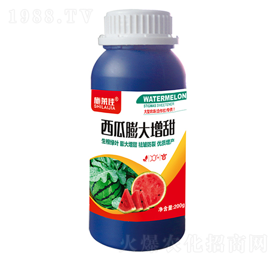 �����������-ʩ�R��-ӯ�S�r�I(y��)