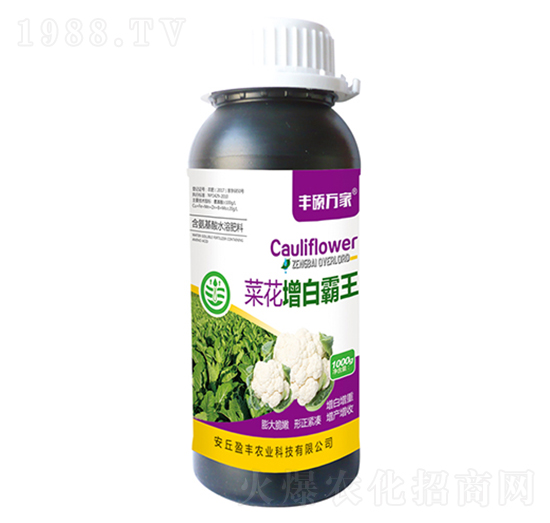 �˻����װ���-�S�T�f��-ӯ�S�r(n��ng)�I(y��)